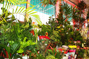 Similar image 21716024