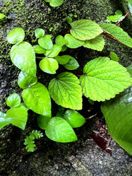 Similar image 21716026