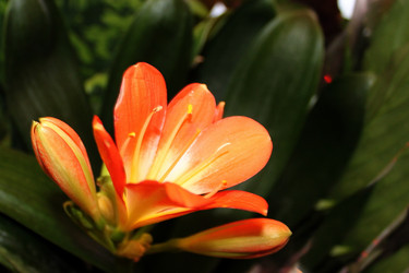 Similar image 21716027