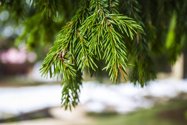 Similar image 21720288