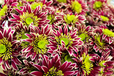 Similar image 21720574