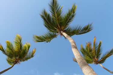 Similar image 21703361