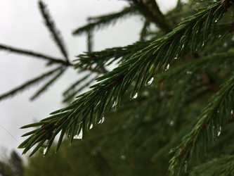 Similar image 21703363