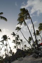 Similar image 21703364