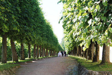 Similar image 21704422