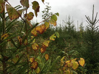 Similar image 21706662