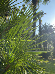 Similar image 21707149