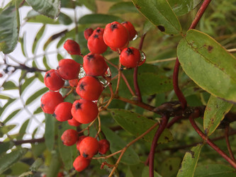 Similar image 21710910