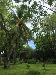 Similar image 21716030