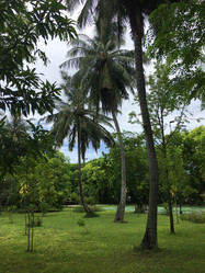 Similar image 21716032