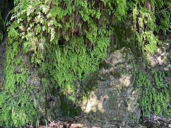 Similar image 21704424