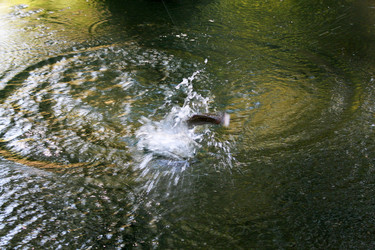 Similar image 21704425