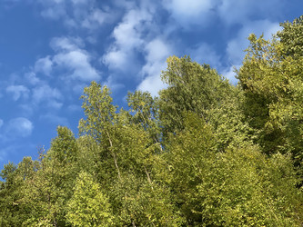 Similar image 21710911