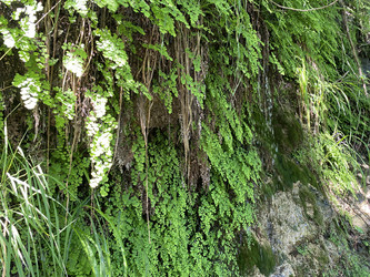 Similar image 21715828