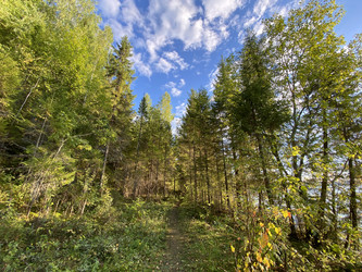 Similar image 21715829