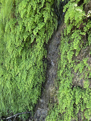 Similar image 21716033