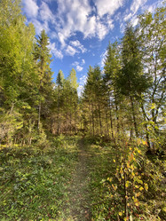 Similar image 21716034