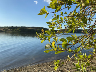 Similar image 21716035