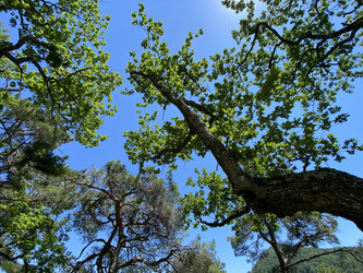 Similar image 21716036