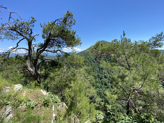 Similar image 21716037