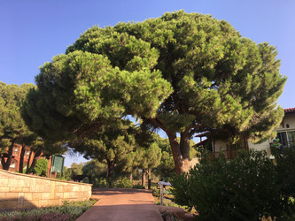 Similar image 21719883