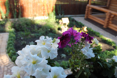 Similar image 21719884