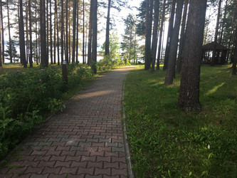 Similar image 21707153