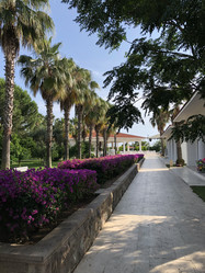 Similar image 21710912