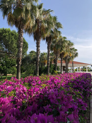 Similar image 21715831