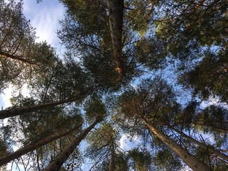 Similar image 21716038