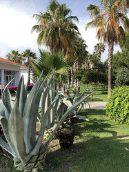 Similar image 21716039