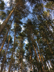 Similar image 21716040