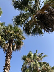 Similar image 21719885