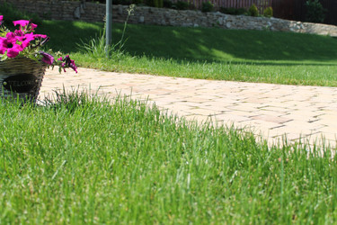 Similar image 21703367