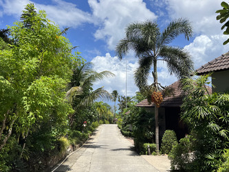 Similar image 21704429