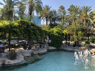 Similar image 21706654