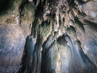 Similar image 21716050