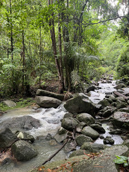 Similar image 21704430