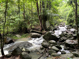 Similar image 21707113