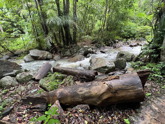 Similar image 21715834