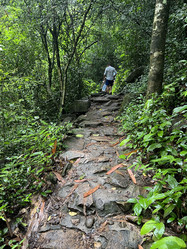 Similar image 21716054