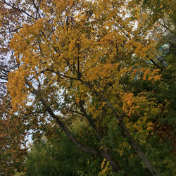 Similar image 21720577