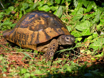 Similar image 21703375