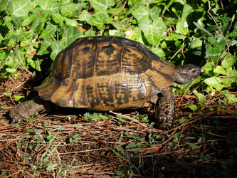 Similar image 21703376