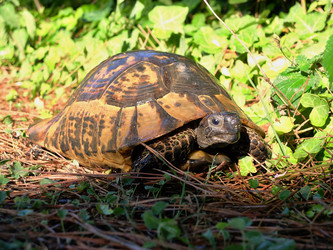 Similar image 21703377