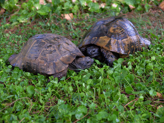 Similar image 21704433