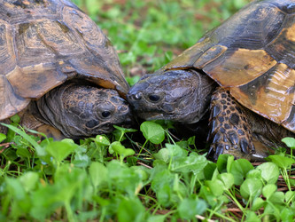 Similar image 21704434