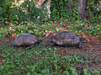 Similar image 21706656