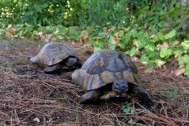 Similar image 21707115