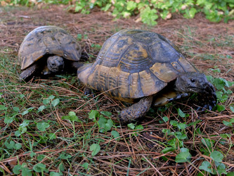 Similar image 21707159